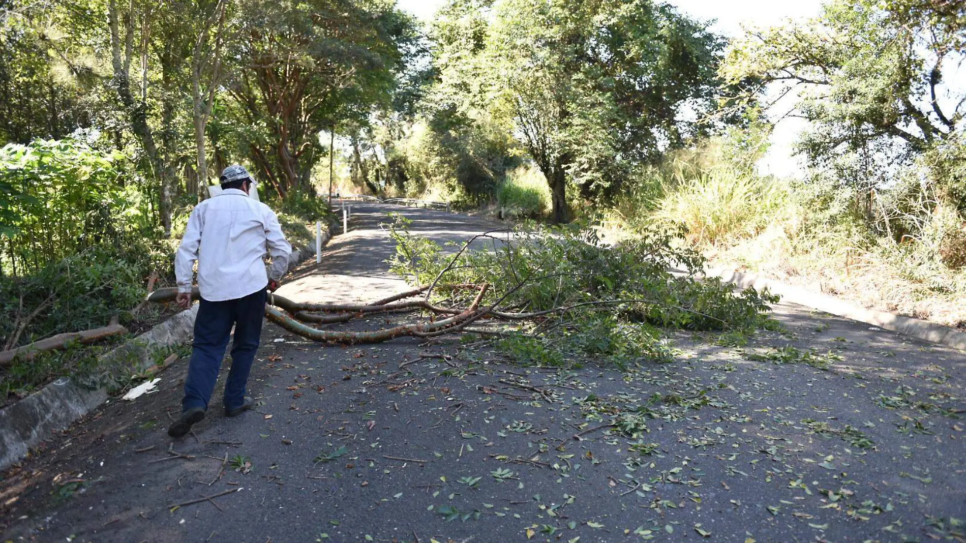 RENE-CARRETERA TEOCELO